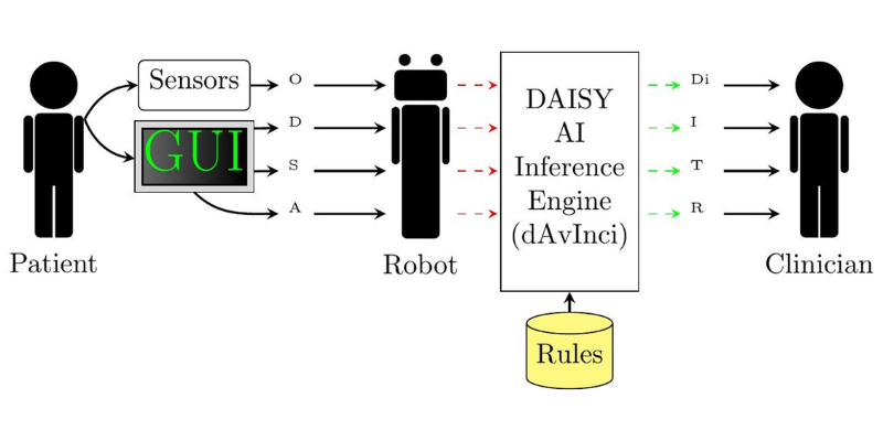 An overview of the DAISY triage process and information flow